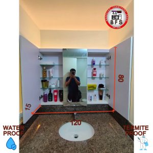 Customize Mirror Cabinet 15x120x80cm